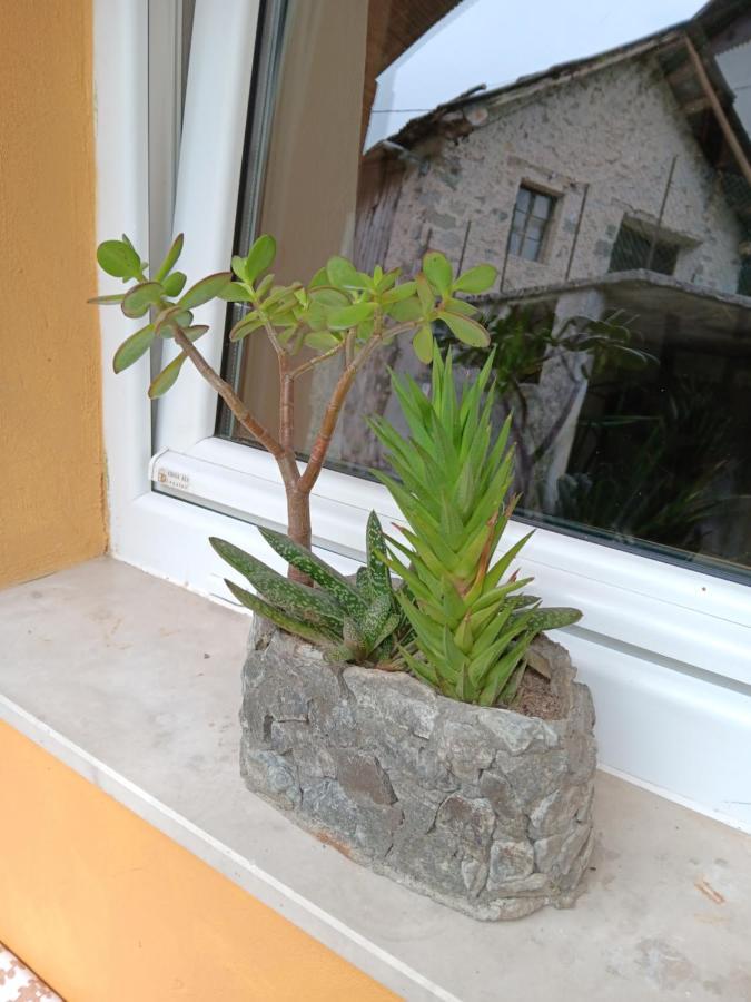 Apartma Metija Kobarid Zewnętrze zdjęcie